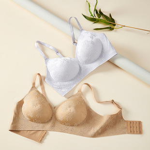 ���L�����Ứ����Ů�o����ʽ�۔n���´�ܛ֧�������ı������