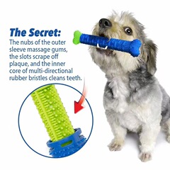 アマゾンクロスボーダー犬歯が生えるスティックペット歯が生えるおもちゃ新しい犬歯ブラシ