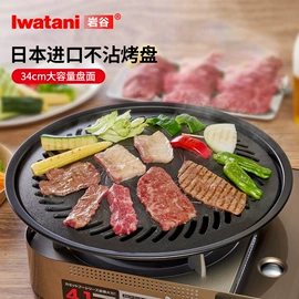 野餐炉具;烧烤盘;厨用点火器