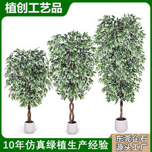 �羳���R�d�����Ř���~��ֲ�����Gֲ��߅�Ř���������٘�