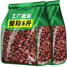 СඹLСtrԮa޲͌sZ؛