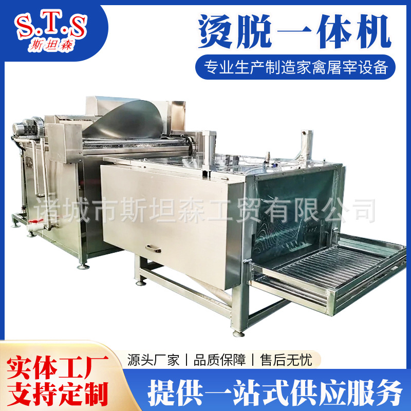 鸡鸭宰杀用自动烫毛脱毛机 小型家禽屠宰流水线设备 鸡鸭退毛机