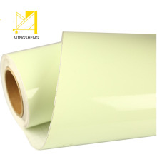 源头厂家pet不干胶警示蓄光膜楼道反光pvc夜光贴防水阻燃蓄光胶带