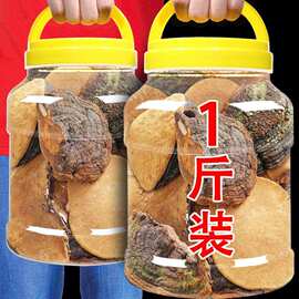 正品品质桑树桑黄的功效与作用灵芝茶正宗中药材非长白山野生特级
