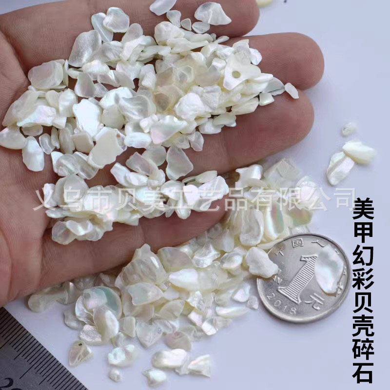 Solid fragments of snail fragments of natural shell processing of…