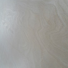 ľӰMژľA庣崬zϰ庣Ӱľzϰ