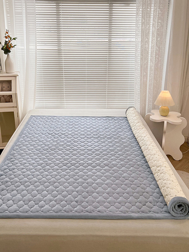 Wholesale Grade A Soy Milk Velvet Mattress Pad Soft Cushion Winter Blanket Thick Warm Home Bed Cushion Mat Throw Blanket