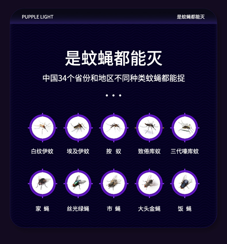 6bf00ad0-2c3c-4e0c-9907-e664e9c19a6a.jpe