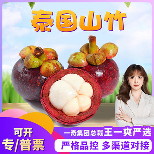 �����x��̩��ɽ�� ���l2/5�����r��Ŵ�Ϙ������񮔼��r���ЋDˮ��