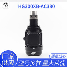 HG317XB/AC220(380)交流型微型齿轮泵铜齿轮 耐高温油 高温液体