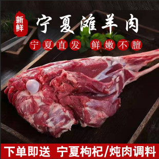 ���挎���}�|���������r�������������������r�ك��F�ן���������