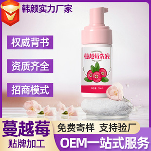 Gynecological Private Care Solution Manufacturer Women's Private Care Cranberry Active Oxygen Lotion Bubble Mousse Lotion Wholesale