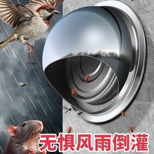 PֹyLñ͟C⠝LֹyLşL