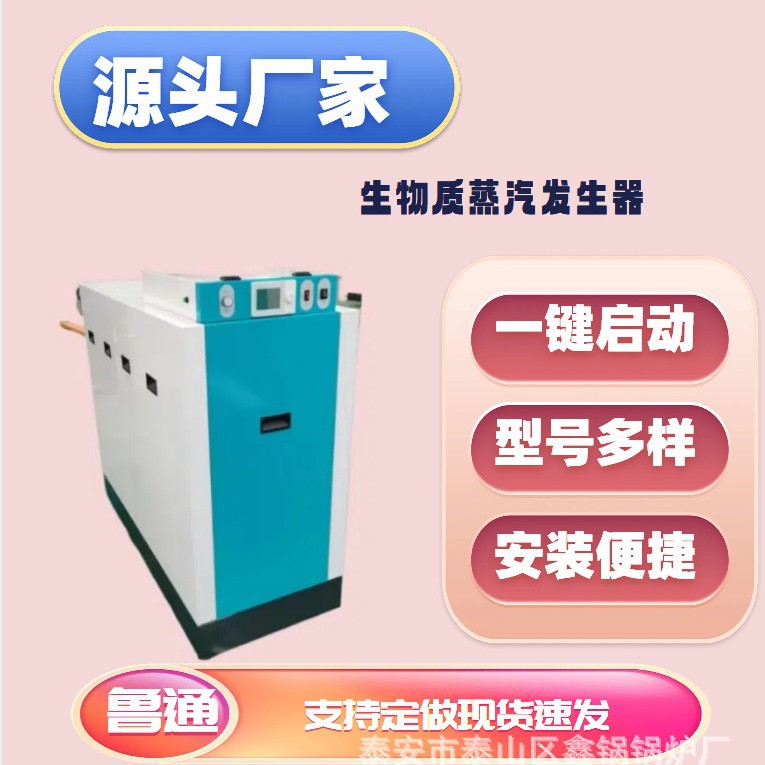 蒸汽发生器小型全自动洗涤熨烫食品加工蒸汽锅炉