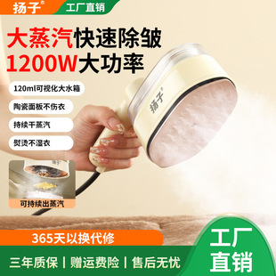 Handheld Garment Steamer Cross-Border Portable Electric Iron Household Ironing Machine Mini Small Rotating Folding Iron Wholesale