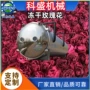 冷冻干燥源头真空干燥机