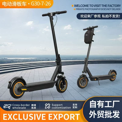 Manufacturer Exports Electric Scooter 10inch Foldable Long-Range 800W Aluminum Alloy Frame Scooter for Cross-Border Trade