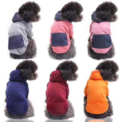 Autumn and Winter Cat Two-Legged Hoodie Pocket Dog Clothes Sports Style Dog and Cat Pet Clothes and Accessories