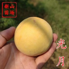 �������S���硿��Ʒ�N9�������ձ����������S���S���Ә���