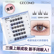 GECOMO���z�ٽ�ëȮϵ�AĘ��δطֶ�ʽ���ּٽ�ë���z��ճ��ë