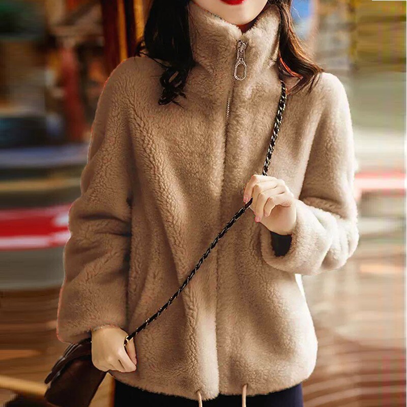 Coral Fleece Zip-Up Sweatshirt for Women, Thickened and Fleece-Lined, Autumn/Winter 2025 New Trendy Ins Style, Double-Sided Fleece, Warm High-Neck Jacket Coral Fleece Zip-Up Sweatshirt for Women, Thickened and Fleece-Lined, Autumn/Winter 2025 New Trendy Ins Style, Double-Sided Fleece, Warm High-Neck Jacket
