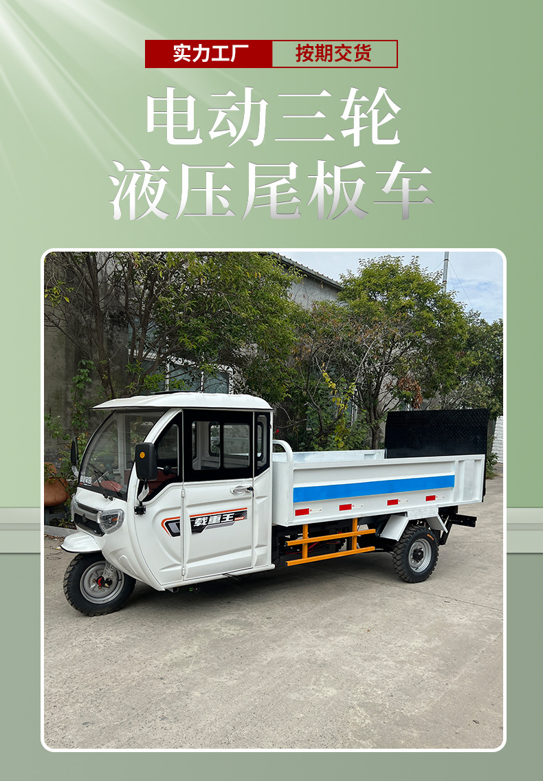 8电动三轮液压尾板车-(2)_01