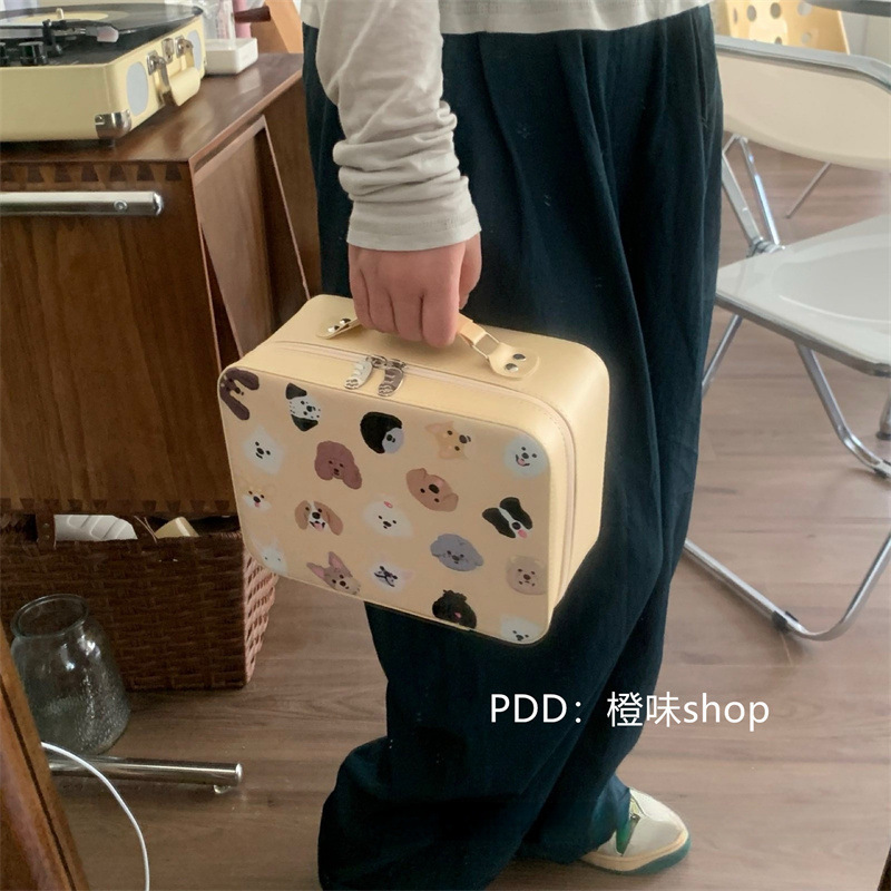 Cosmetic Bag Mirror Large Capacity New Portable Cosmetic Case Suitcase Cute Travel Wash Storage Box