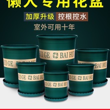 ϻ莧бPӺG}mmС辰ڏsӁ