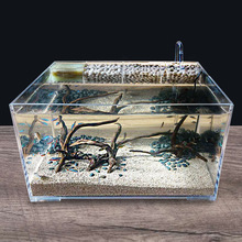 桌面生態魚缸亞克力烏龜缸小型水龜缸客廳水陸造景缸帶過濾免換水