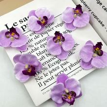 ���S���l������������m���^ñ��ϲ�Ǻ��bl�A�^�ñ��Ь���ػ�