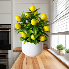 ���R�d�����12Ŀ���晎�����ԾGֲ���컨��ֲ���辰���ʙ��ʹ�