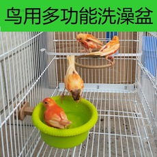 鹦鹉笼鸟笼鸟用洗澡盆沐浴盆玉鸟芙蓉鸟黄麻鹊