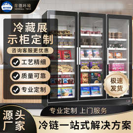 供应立式冷冻展示柜商用冰箱超市便利店生鲜烧烤串串三开门冷藏柜