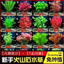 ��ɽʯˮ��ֲ���~���쾰�b�ˮ��������ݾG����݃���ˮ�|�ײ�