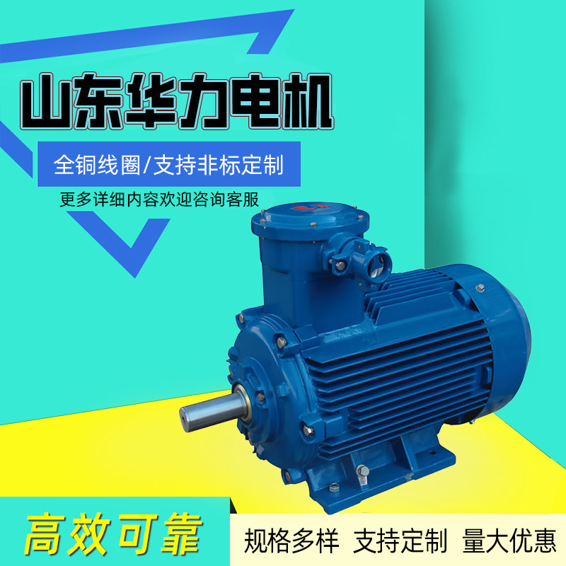 Shandong Huali Motor Yb3-H Series Marine Explosion-Proof Three-Phase Asynchronous Motor Factory Direct Supply