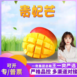 【严选】贵妃芒 代发5/8斤大果礼盒新鲜红金龙甜糯当季水果非台农