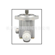 OEM 542019510 226 H050030 1412608000 6804660401 Steering Pump