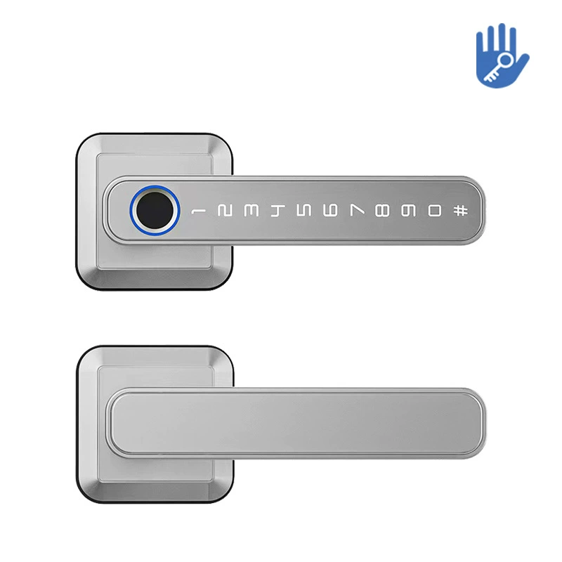 New home anti -theft door fingerprint lock electric graffiti indoor bedroom handle password lock Bluetooth through Bluetooth