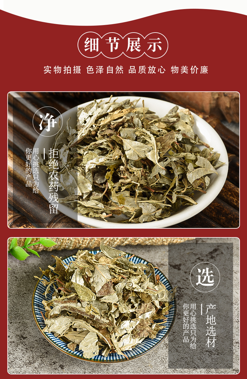 Hu Tuizi Ye (Elaeagnus pungens Leaf) — Dried Food Herb, Unsulfured New Crop quality and texture