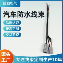 ワイヤーハーネス加工端子ワイヤー電子ワイヤー射出成形工業用アダプターワイヤーハーネス新エネルギー電気自動車ワイヤーハーネスカスタマイズ