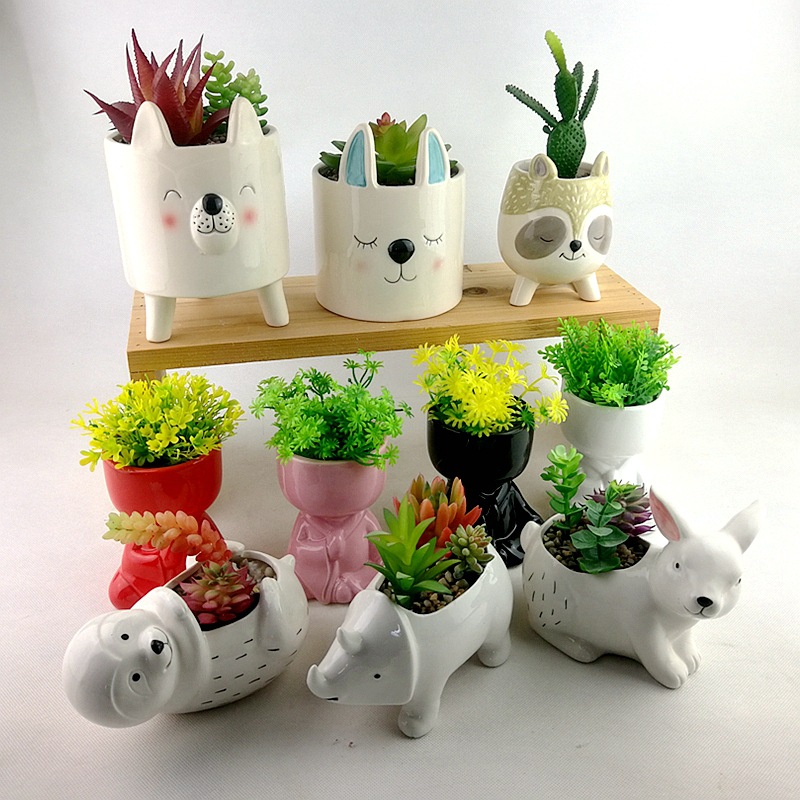 Cerámica de forma especial de dibujos animados carnosa maceta color esmalte nube blanca transpirable flor redonda marco de hierro pulgar maceta personalizada