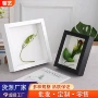 装裱植物中空黑色画框
