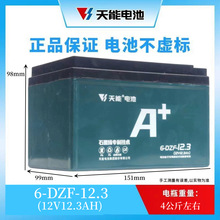 廠家供應信譽至上量大從優48V12.3AH電瓶兩輪電動車用天能蓄電池