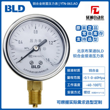 一般压力表YTN-063.AO耐震充油不锈钢气密性结构布莱迪BLD包邮