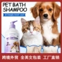 外贸二合一跨境英文小猫