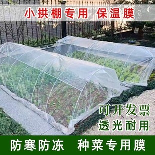 Agricultural Transparent Plastic Film for Vegetable Planting Small Arch Shed Film Agricultural Film Plastic Paper Insulation Film for Cold Protection