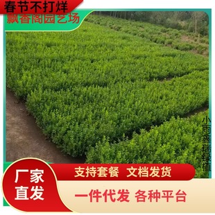 һ�����l�����S���С�~�S���������S����G����ͥԺ�e��С�^