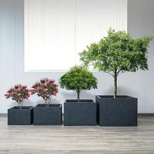 ����M��ͥԺ�L���β���䓴�Nֲ��¶̨���軨�ۻ���@�����ʽ