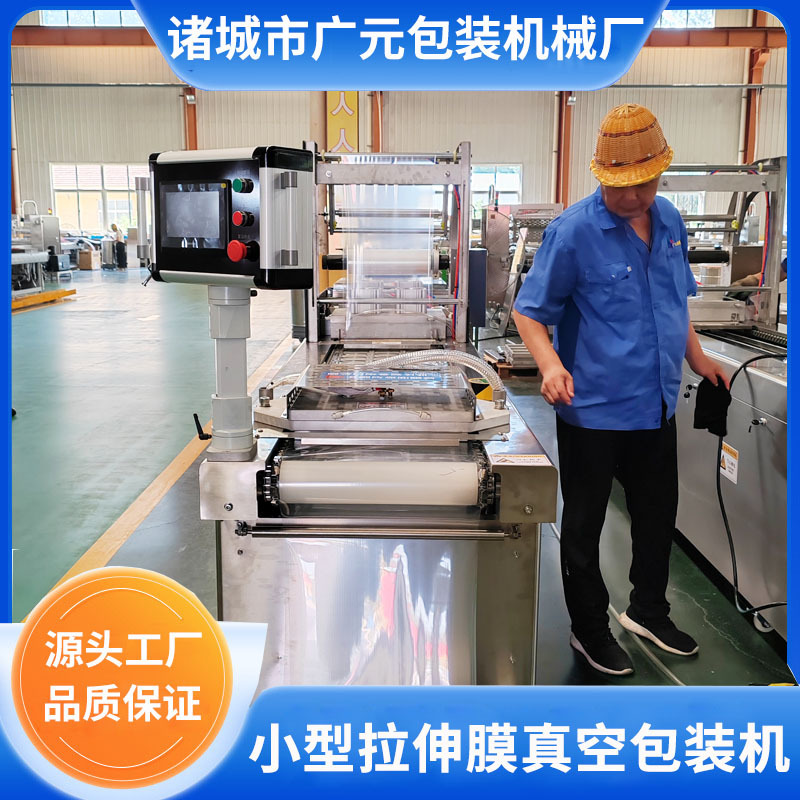 猪肉脯真空包装机 羊杂小型拉伸膜真空包装机 商用拉伸膜真空机