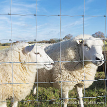 �F�z�W���P���ھWţ�ھW�Bֳ�W�rţ����@���oȦ�ؾWȦɽ�W